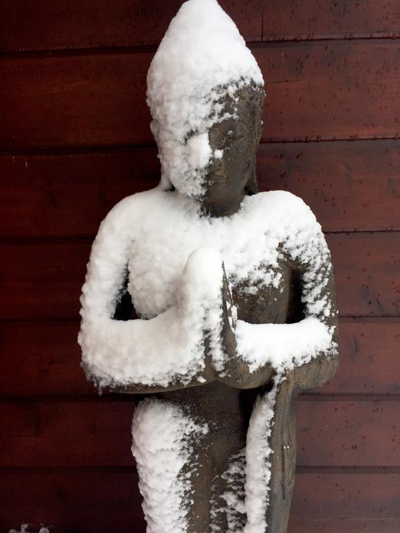 Au Chalet D'Isa Havelange エクステリア 写真